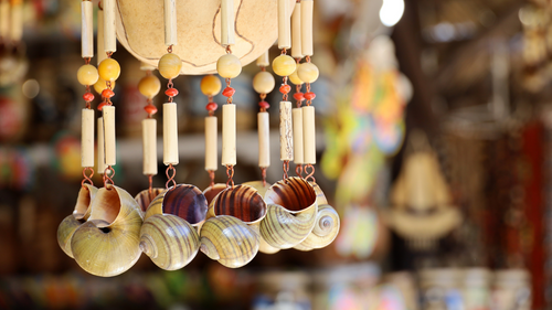 sea shell items